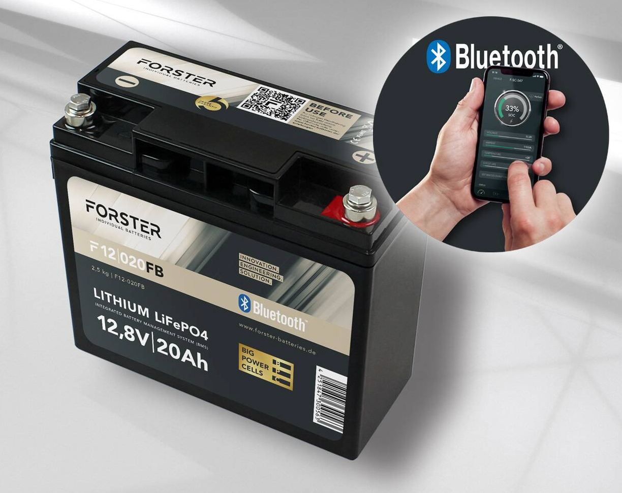 Bluetooth Lifepo4 Akku 12V 100Ah Autobatterie mit BMS Ersetzt AGM