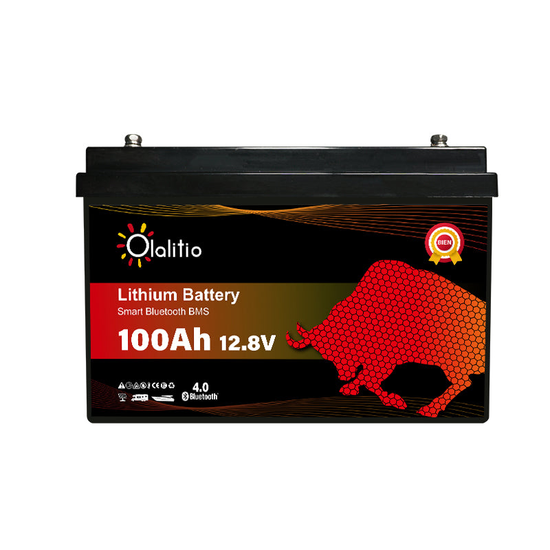 Feence 12V Lifepo4 Batterie 100Ah + 100A BMS Test #lifepo4